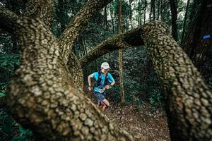 BIB: 
                            <button type="button" onclick="openModal(25389733)" class="btn btn-primary btn-sm float-right btn-popup" data-toggle="modal" data-target=".modal-high-quality">
                        <i class="fas fa-shopping-cart"></i> Add to Cart
                    </button>
                                            <button type="button" onclick="isThisMe(25389733, true)" class="btn btn-success btn-sm float-right btn-popup btn-isme hidden" data-toggle="tooltip" data-placement="bottom" title="นี่คือรูปของคุณใช่ไหม คลิกที่นี่เพื่อเอาเข้าอัลบั้ม">
                        <i class="fas fa-plus"></i> Add to album
                    </button>
                    <button type="button" onclick="isThisMe(25389733, false)" class="btn btn-warning btn-sm float-right btn-popup btn-isnotme hidden">
                        <i class="fas fa-ban"></i> Remove from album
                    </button>